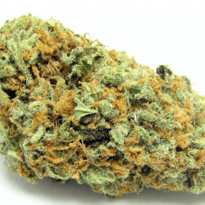 Greenelephant Romance (Green crack)